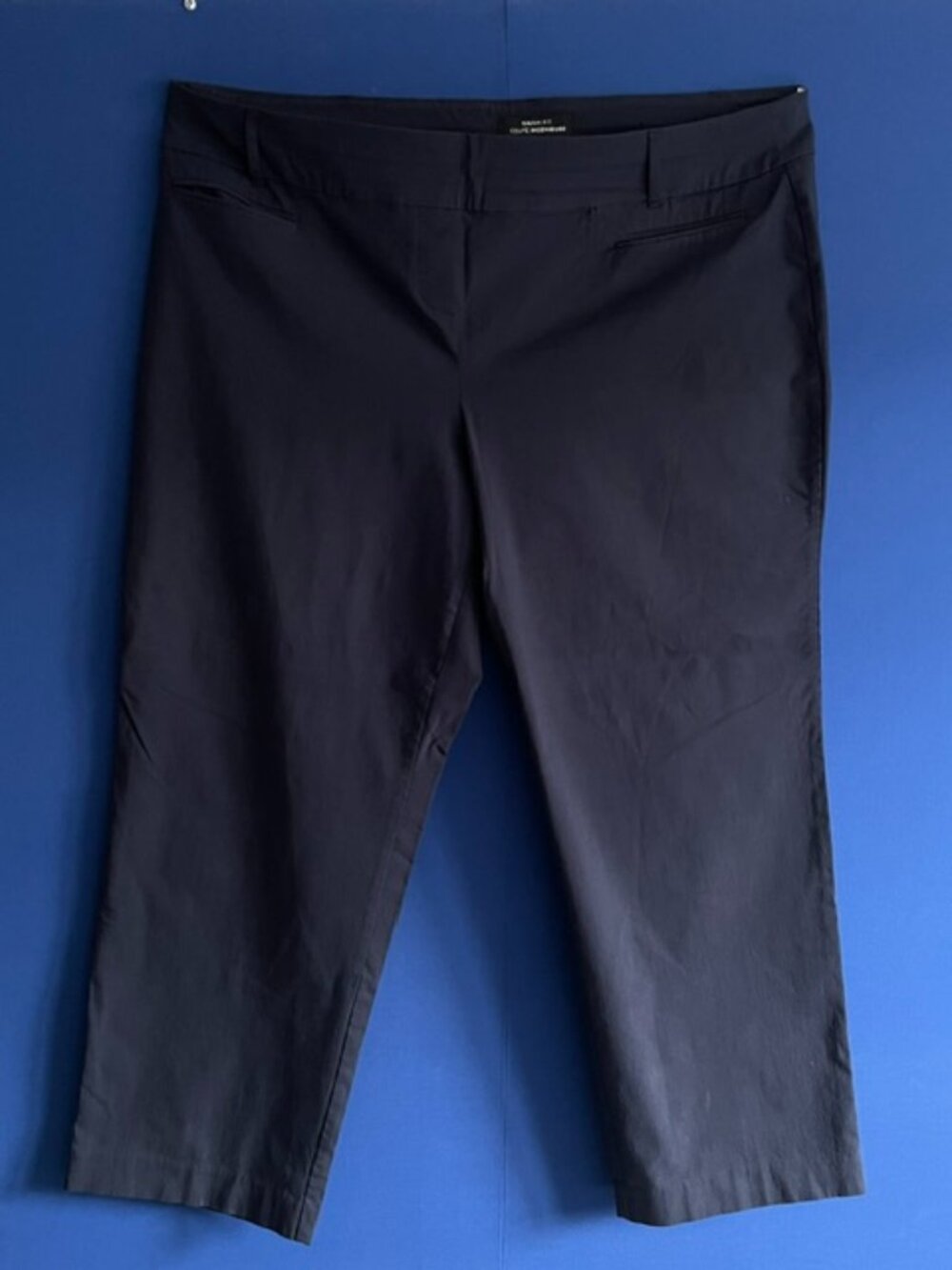 Penningtons Savvy Blue Straight Leg Petite Plus Pant - Size 24P